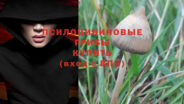 спайс Аркадак