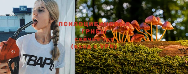 spice Армянск