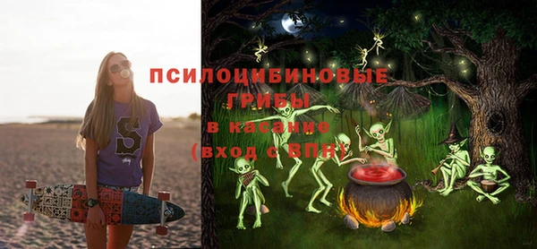амфетамин Алексин