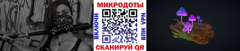 Псилоцибиновые грибы Psilocybine cubensis  Льгов 